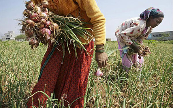 India extends onion export ban indefinitely