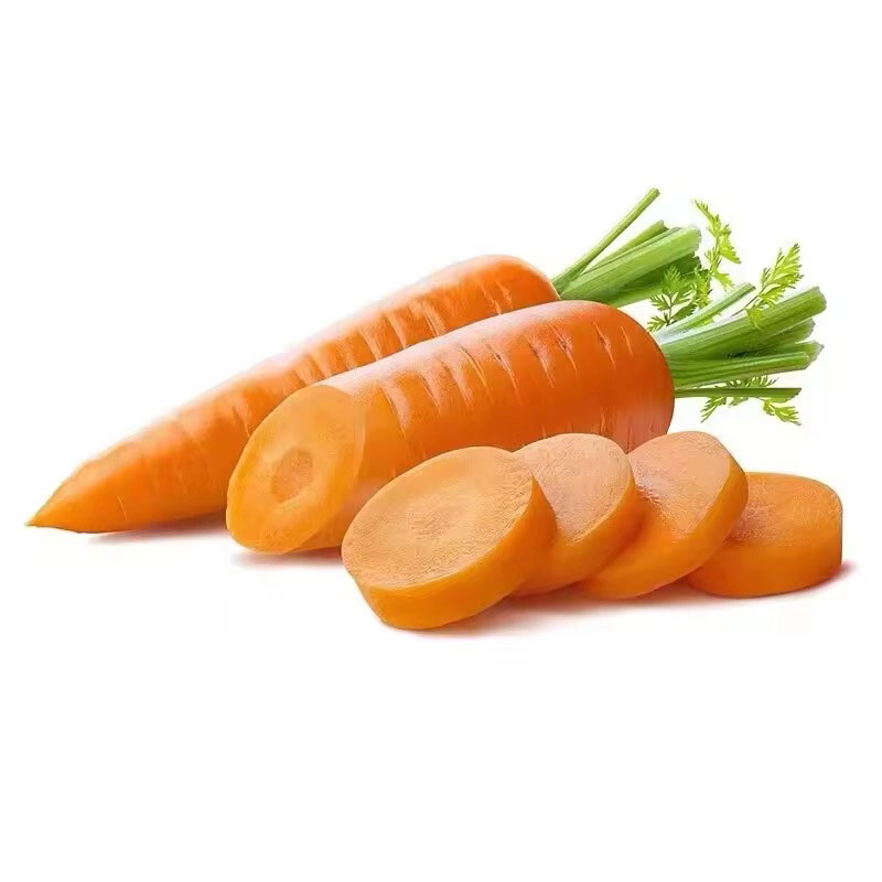 Fresh Carrot