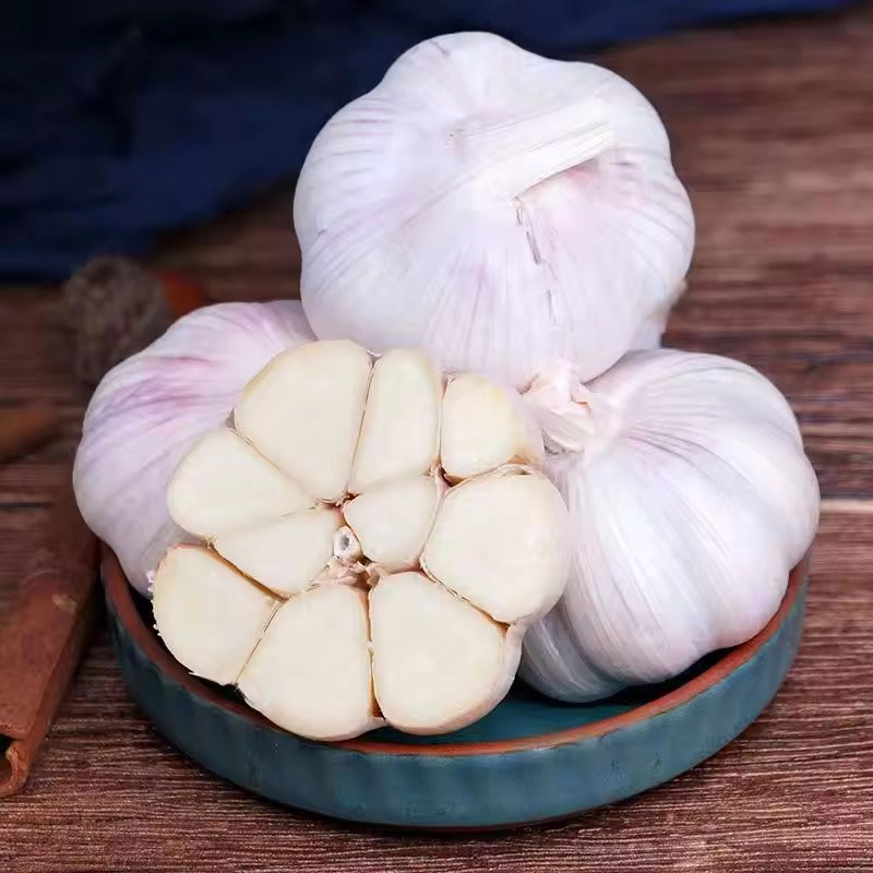 Fresh Garlic