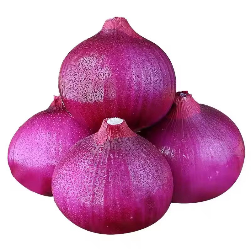 Fresh Onions