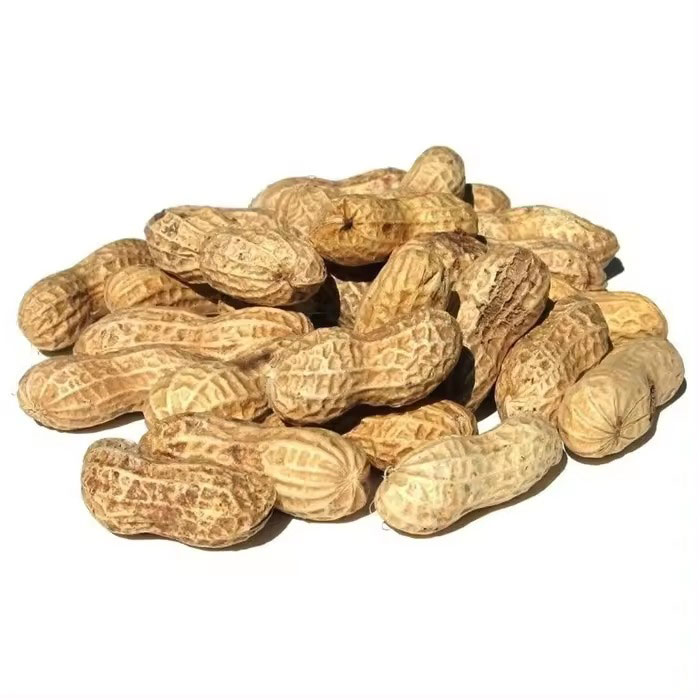 Fresh Peanuts